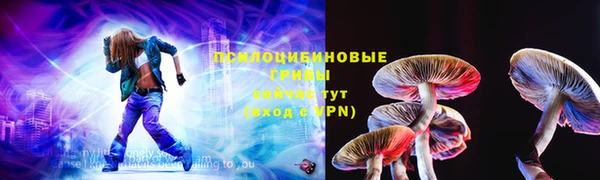 прущие грибы Няндома