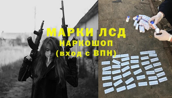 прущие грибы Няндома