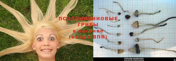 марихуана Абдулино