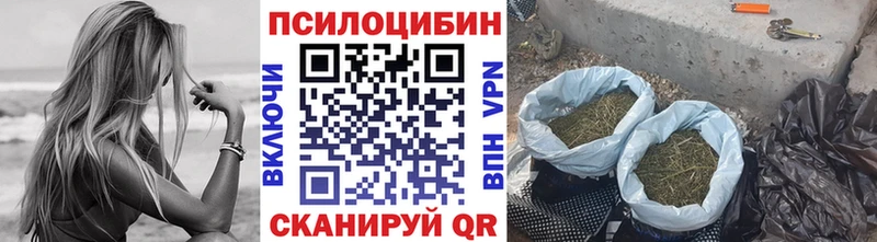 цены наркотик Ядрин Псилоцибиновые грибы GOLDEN TEACHER